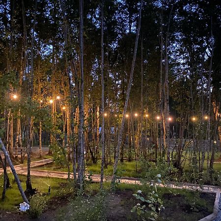 Boker Tov Pucon Hotel Exterior photo