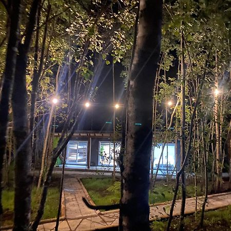 Boker Tov Pucon Hotel Exterior photo