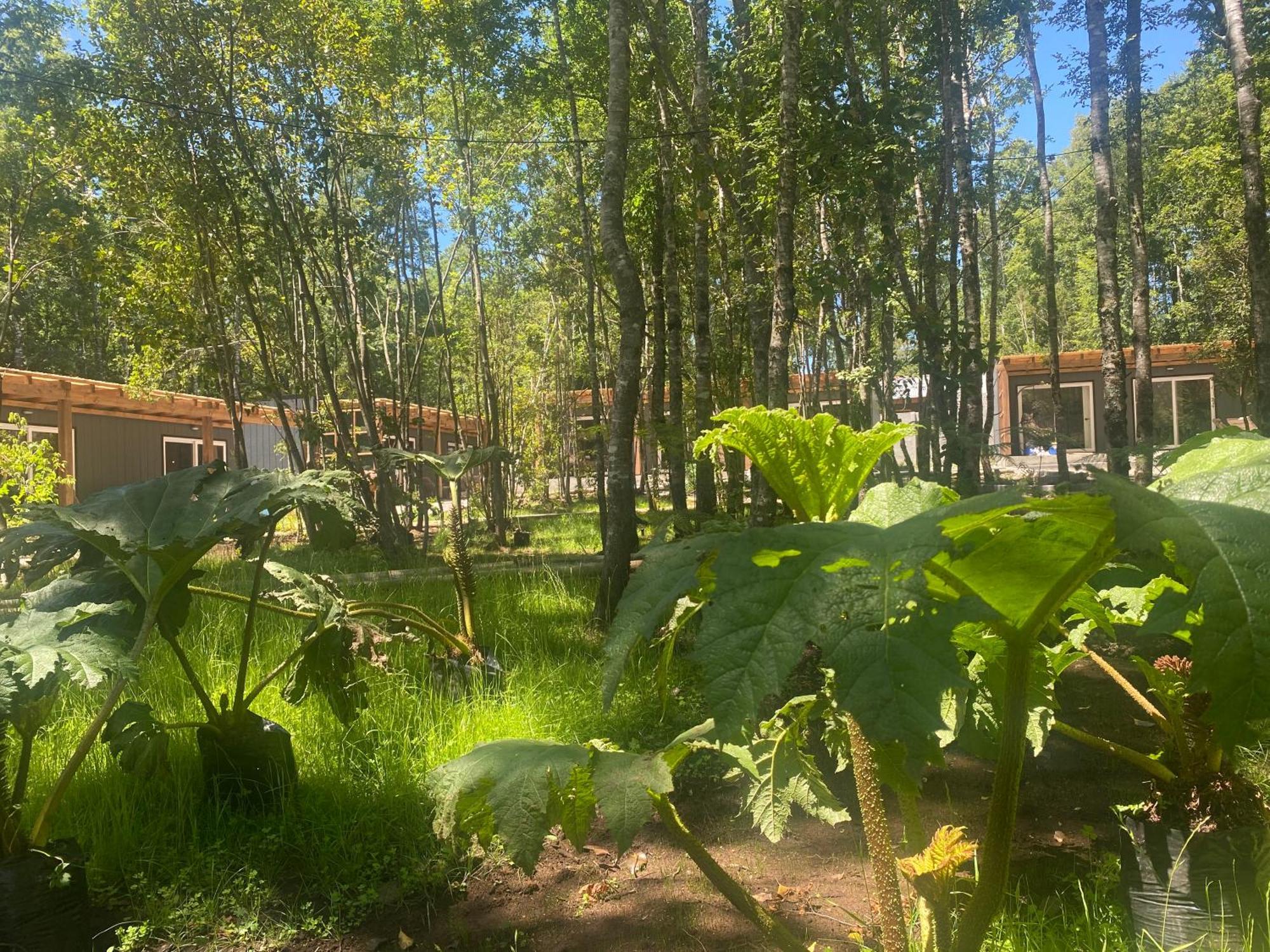 Boker Tov Pucon Hotel Exterior photo